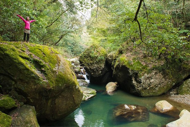 Miyazaki Valley Waterfall Hike - Scenic Views