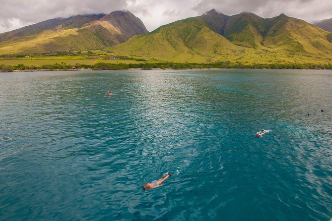 Molokini and Turtle Arches Snorkeling Trip From Maalaea Harbor - Tour Inclusions