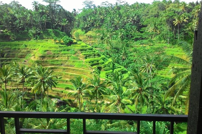 Monkey Forest, Ubud, and Rice Terraces - Exploring Ubuds Cultural Gems