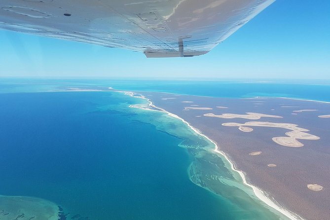 Monkey Mia Dolphins & Shark Bay Air Tour From Perth - Pricing and Booking Information