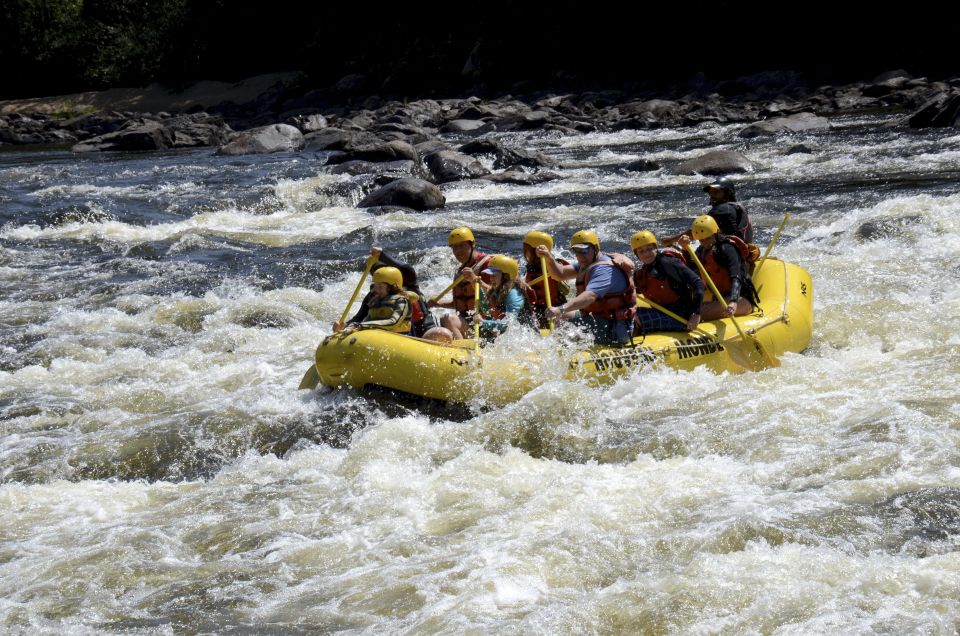 Mont-Tremblant: Full Day of Rouge River White Water Rafting - Experience Highlights