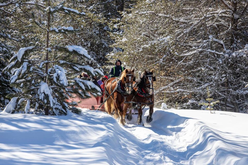 Mont-Tremblant: Sleigh Ride W/ Storytelling & Hot Chocolate - Booking Details