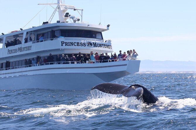 Monterey Whale Watching Tour - Departure Times and Pricing