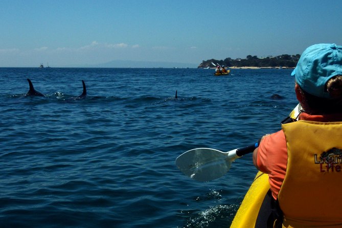 Mornington Peninsula Kayak Coastline Tour of Dolphin Sanctuary - Scenic Coastline Views