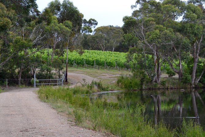 Mornington Peninsula Private Car Winery Tour.1-7 People One Car Price. - Winery Destinations