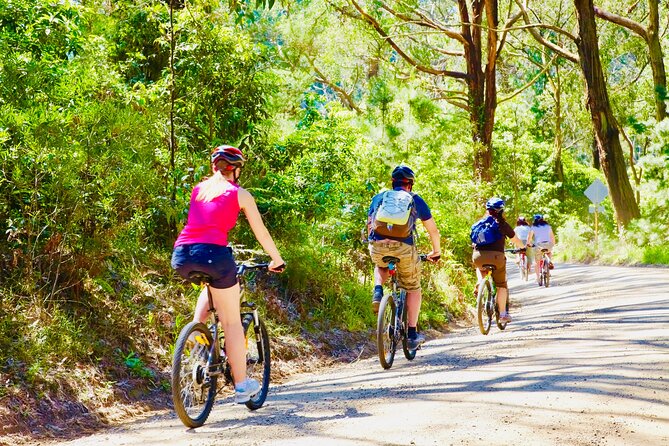 Mornington Peninsula Self-Guided Bike Tour Food & Wine Region - Inclusions and Equipment