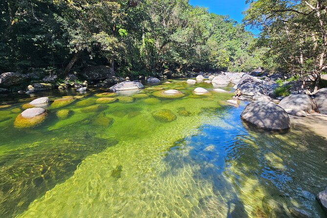 Mossman Gorge Daintree Rainforest Daintree River Crocodile Cruise - Traveler Experiences