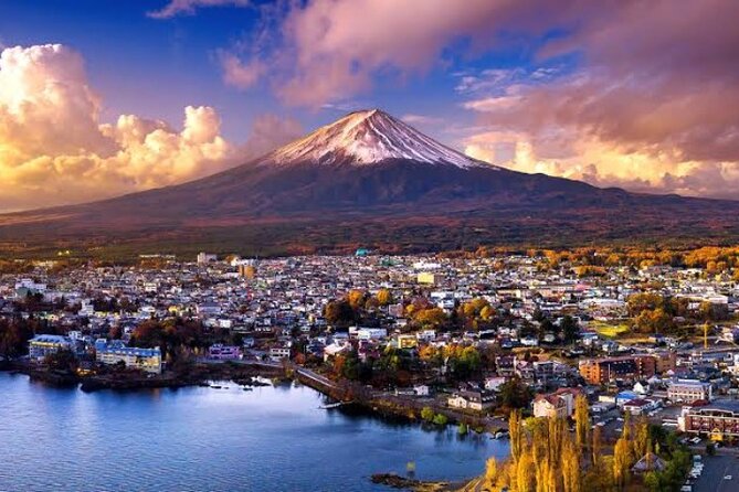 Mount Fuji and Hakone Private Tour With English Speaking Driver - English-Speaking Driver Details
