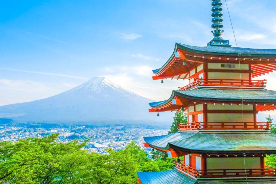 Mount Fuji Panoramic View & Shopping Day Tour - Payment and Logistics