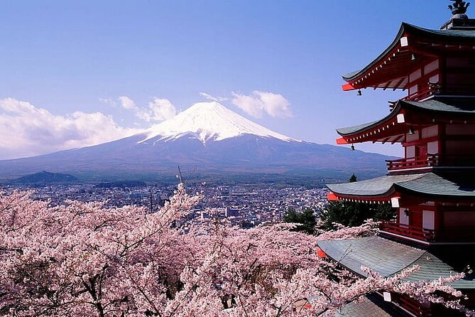 Mount Fuji Private Day Tour With English Speaking Driver - Pickup Services and Logistics