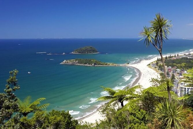 Mount Maunganui Self-Guided Audio Tour - Tour Flexibility and Recommendations