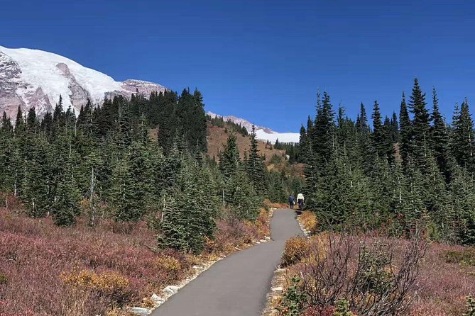Mount Rainier National Park Day Tour From Seattle - Customer Reviews and Recommendations