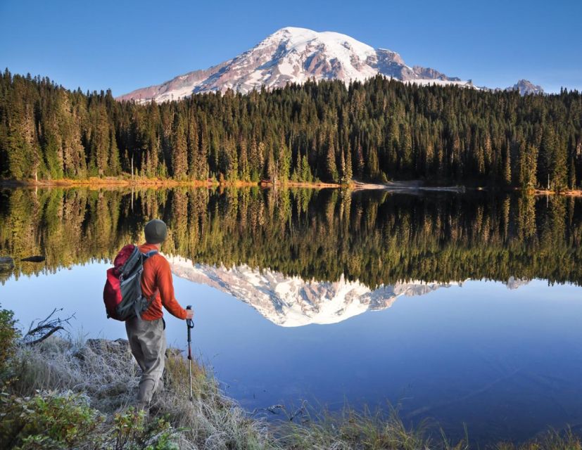 Mount Rainier National Park:Nature, Waterfalls,and Wildlife - Alpine Meadows Exploration