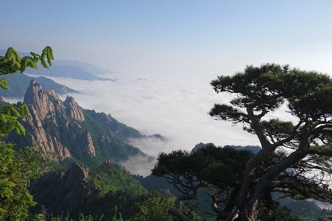 Mount Seoraksan, Temple, Fortress: Private Day Tour From Seoul - Itinerary Details