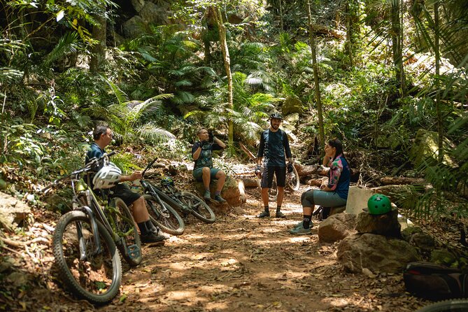 Mountain Bike Tour - Cairns - Jungle Adventure