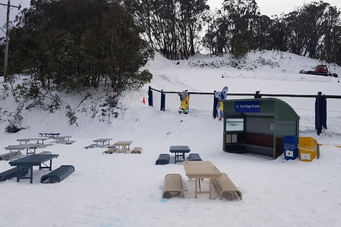 Mt Buller Day Trip From Melbourne - What to Expect on the Tour