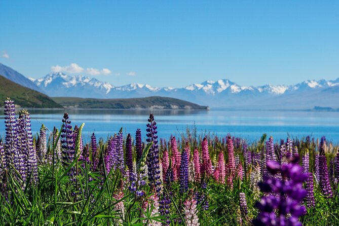 Mt Cook and Lake Tekapo Small Group Tour From Christchurch - Cancellation Policy