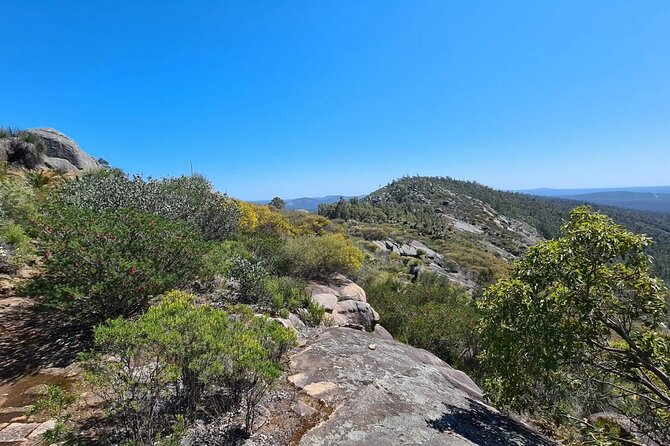 Mt. Cooke Half Day Hiking Experience - Trail Information