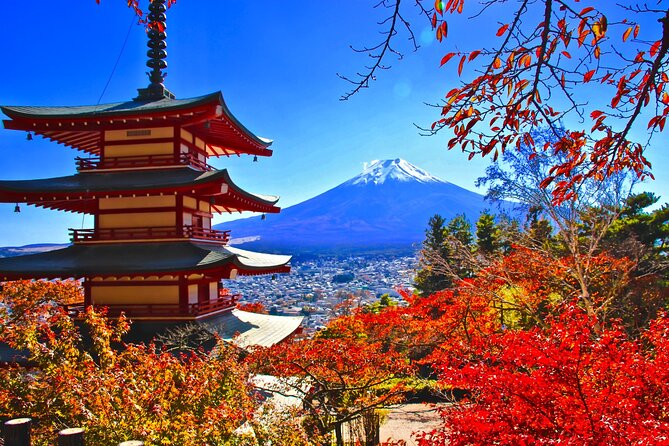 Mt Fuji, Arakurayama Sengen Park and Oshino Hakkai Guided Tour - Booking Process