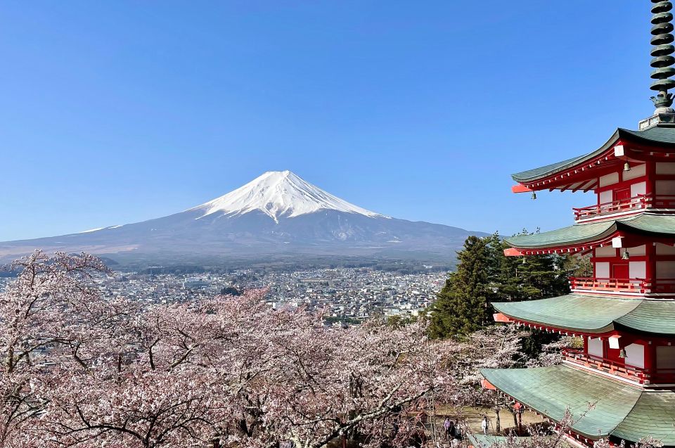 Mt.Fuji Area, 1 Day Private Car Trip(English Guide Tour) - Flexibility and Payment