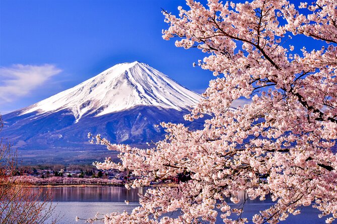 Mt. Fuji Cherry Blossom One Day Tour From Tokyo - Itinerary Overview
