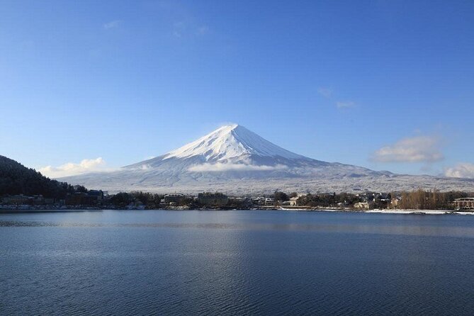 Mt. Fuji & Hakone 1 Day Bus Tour From Tokyo Station Area - Booking Information