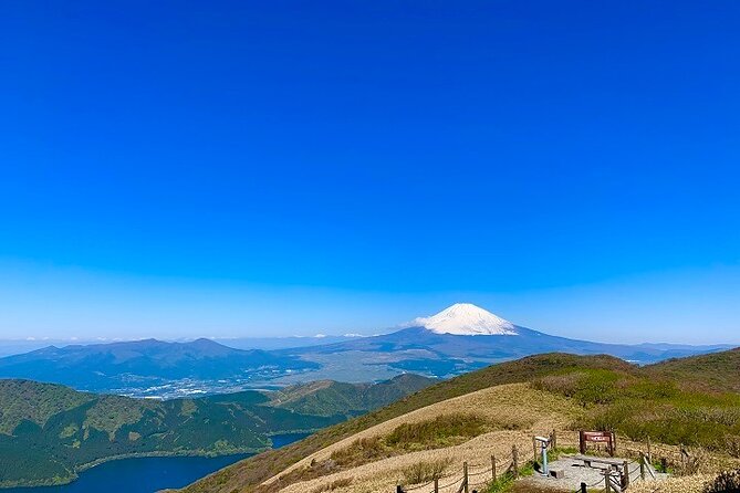 Mt. Fuji & Hakone Bullet Train 1 Day Tour From Tokyo Station Area - Operational Information