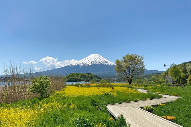 Mt Fuji Half-Day Tour By Car - Inclusions
