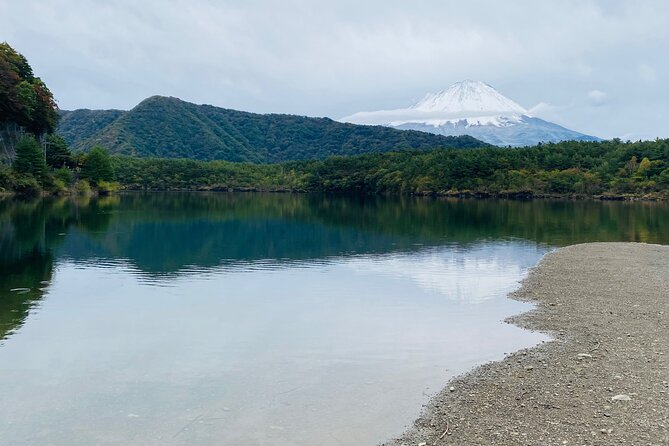 Mt. Fuji Private Sightseeing With Bilingual Chauffeur - Customer Reviews and Ratings