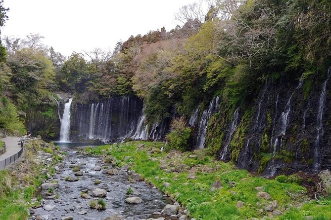 Mt. Fuji, Visit Where All the Japanese People Belong (Chartered Taxi Tour) - Tour Inclusions and Experiences