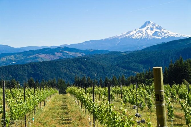 Mt. Hood and Columbia River Gorge Full-Day Tour From Portland - Itinerary Highlights