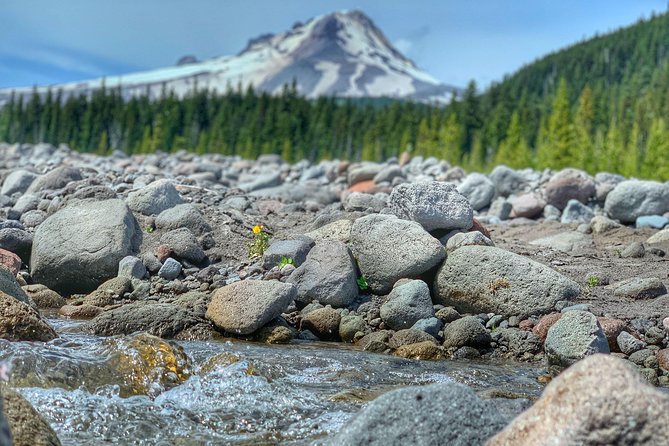 Mt Hood Day Trip From Portland to Multnomah Falls and Hood River - Tour Highlights