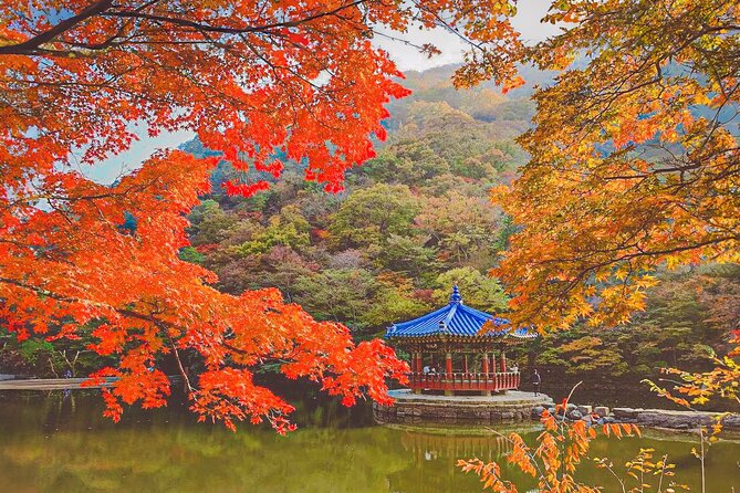 Mt. Naejang Sightseeing Trip From Seoul - Schedule