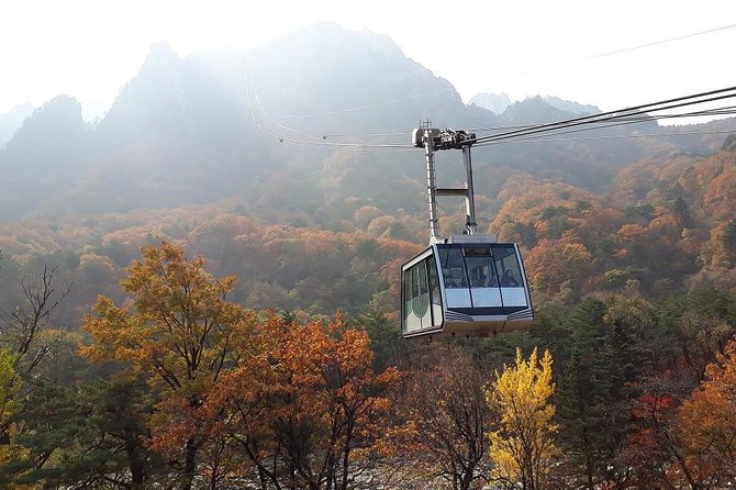 Mt. Seoraknami Islandgarden of Morning Calm Day Trip From Seoul - Booking and Cancellation Policies