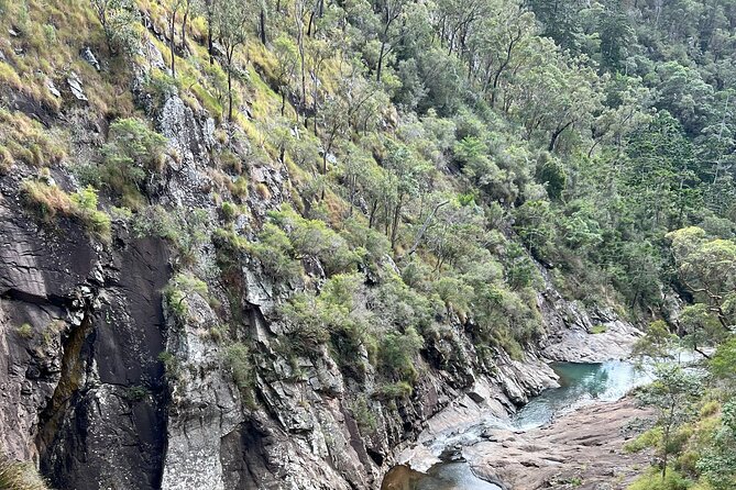 Mt Tamborine 8-hour Guided Tour by Minivan in the Scenic Rim - Itinerary Details