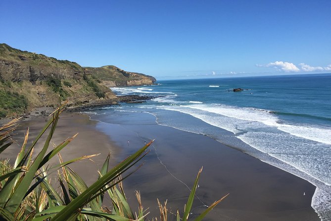 Muriwai Scenic Wine Tour From Auckland - Customer Reviews