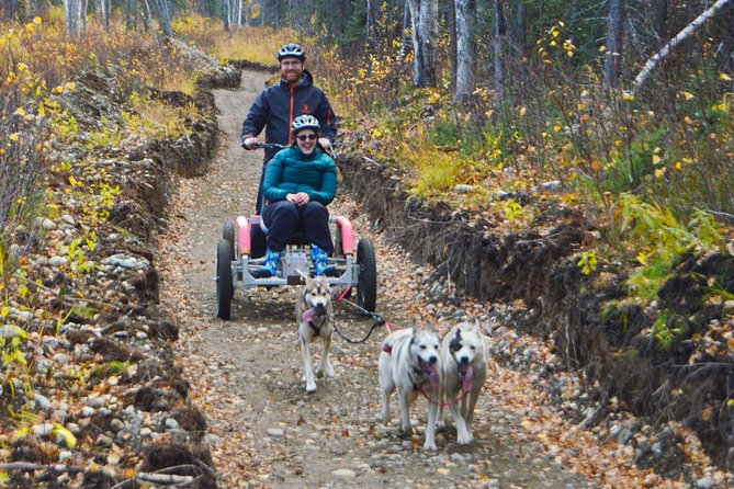 Mush Your Own Sled Dog Team (Summer/Fall Tour) - Logistics