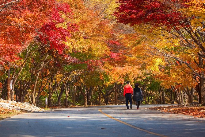 Naejangsan National Park Autumn Foliage Tour From Busan - Food and Refreshments