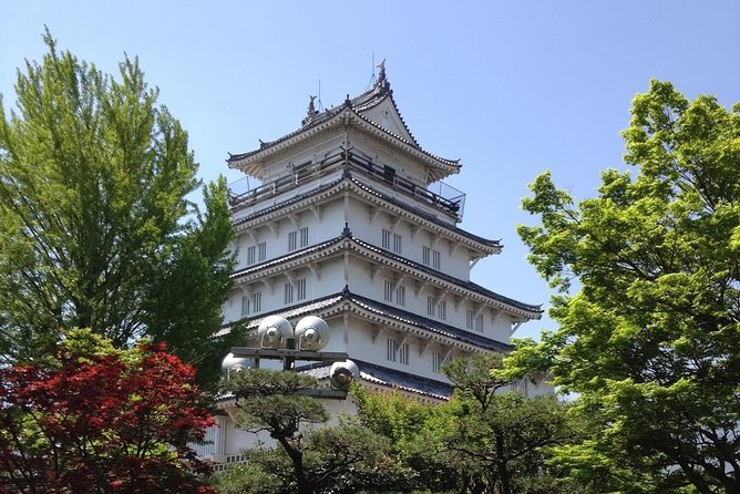 Nagasaki City and Shimabara Peninsular Sightseeing Tour - Reviews and Customer Experience