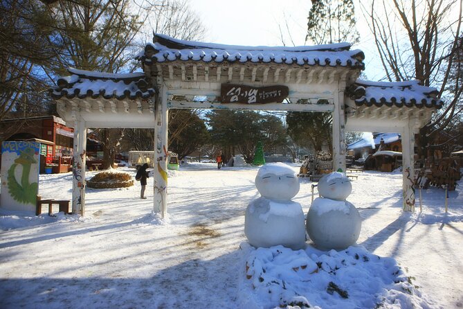 Nami & Happy Chowon Panorama Field & Gangchon Railbike - Weather Considerations and Activity Requirements