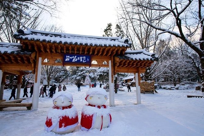 Nami Island and Ski Tour (Elysian Ski Resort) From Seoul - No Shopping - Tour Requirements