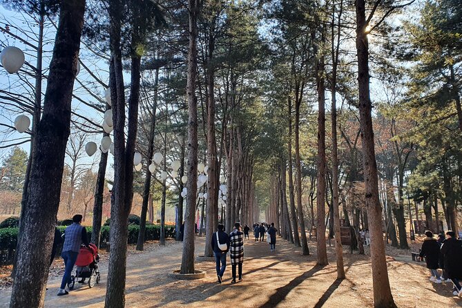 Nami Island & Garden of Morning Calm Private Tour - Pricing Details