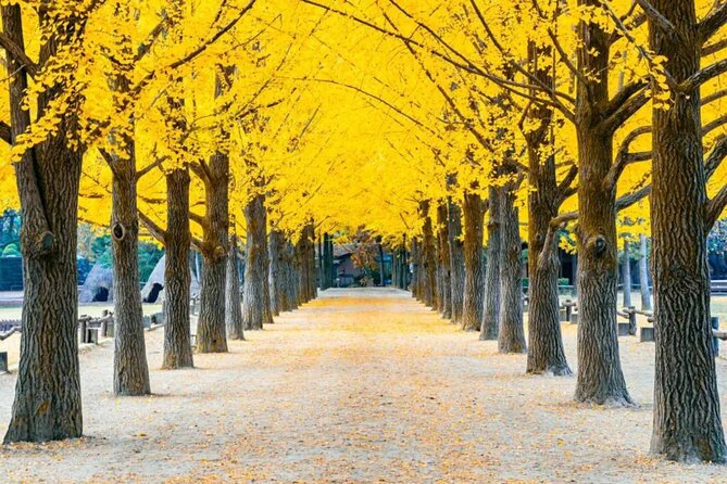 Nami Island & Petite France & Italian Village & Gangchon Rail Bike One-Day Tour - Inclusions and Services Provided