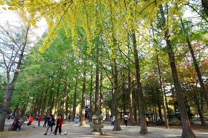 Nami Island & Petite France - Itinerary Details