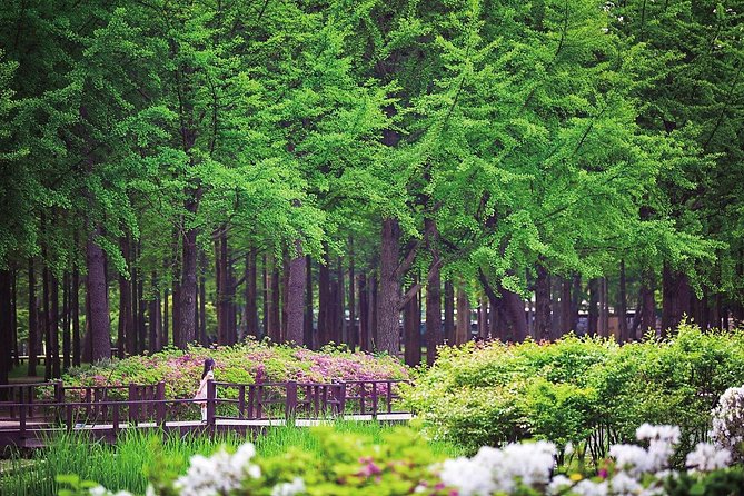 Nami Island With Garden of Morning Calm Trip - Nami Island Exploration