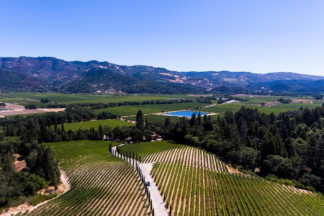 Napa Valleys Best Wine Tour W/ Local Expert - Tour Overview and Highlights