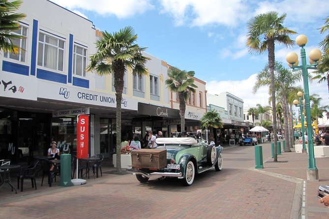 Napier Shore Excursion: City Sights and Hawkes Bay Tour - Itinerary Details