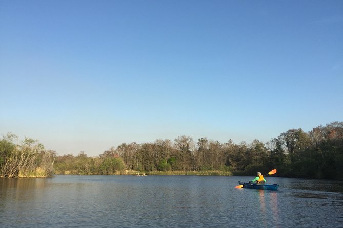 Naples Small-Group Half-Day Everglades Kayak Tour - Future Tour Offerings