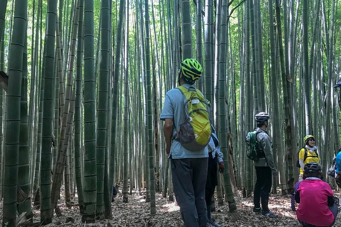 Nasu: Private Bike Tour and Farm Experience  - Nasu-machi - Itinerary Details
