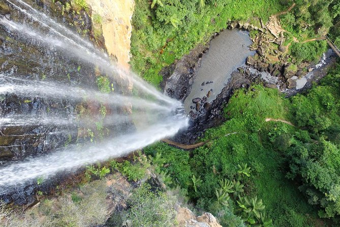 Natural Bridge & Springbrook Waterfalls Tour - Customer Reviews